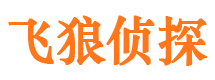 灞桥飞狼私家侦探公司